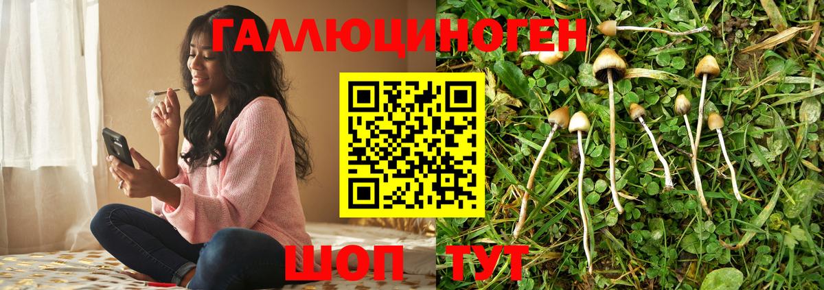 Псилоцибиновые грибы MAGIC MUSHROOMS  Вход с VPN  Иваново 